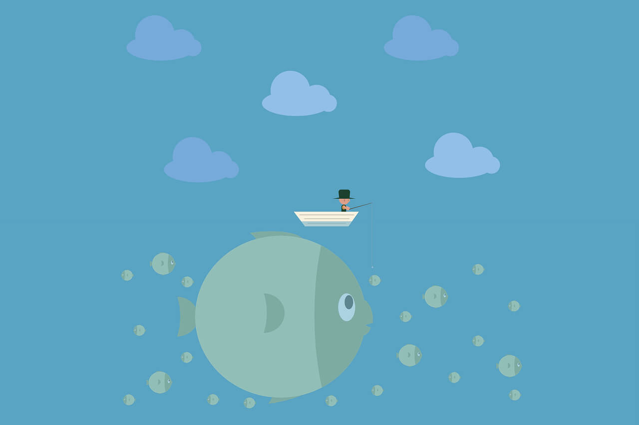 纯白的天鹅怎会爱乌鸦